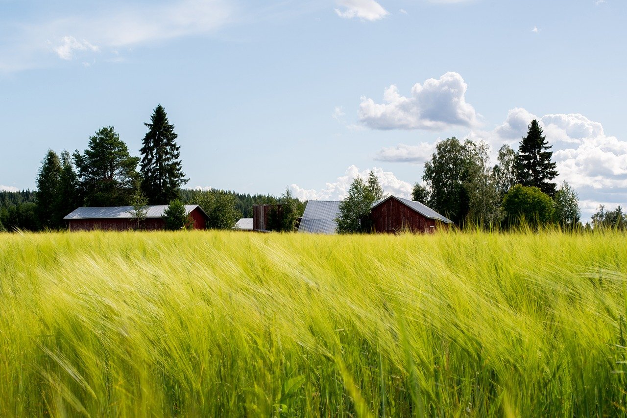 The Importance of Crop Rotation in Sustainable Farming